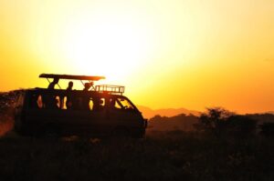 A safety during a Safari in Uganda, hire a professional safari guide.