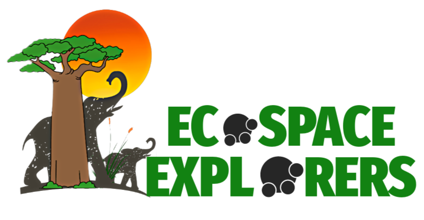 Ecospace Explorers Logo